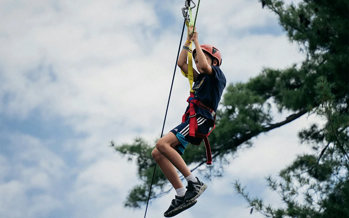 Go Ape Haldon zip wire