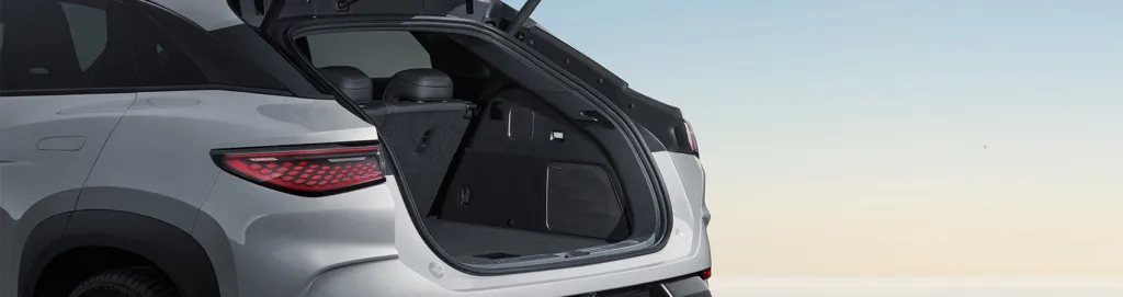 BYD boot